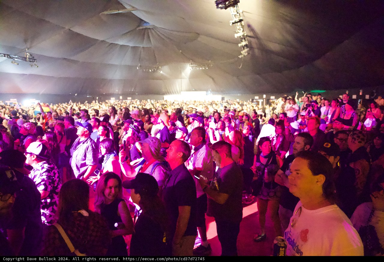 Electric Nights: Revelry at Coachella 2024
