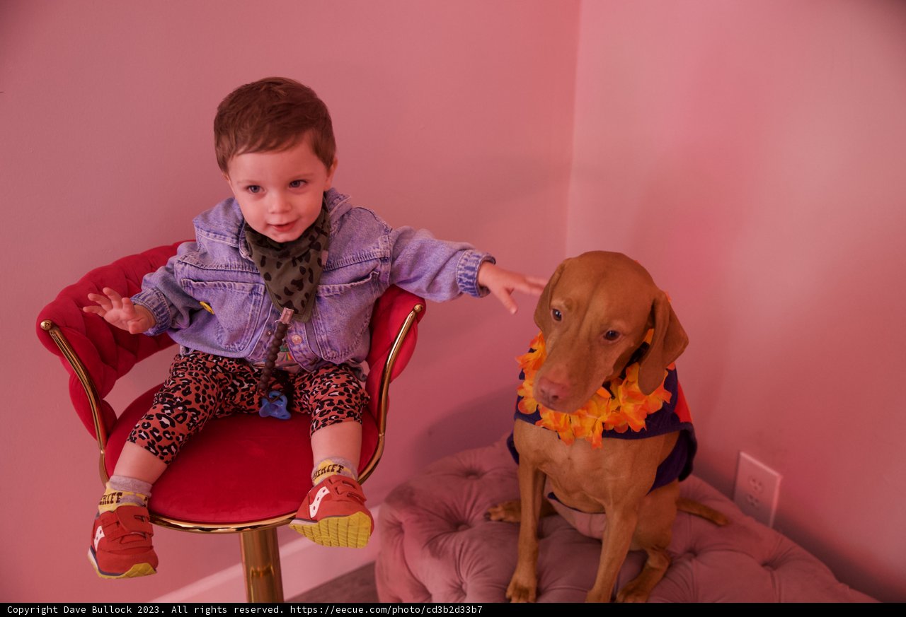 Blossoming Bonds: A Boy and His Dog