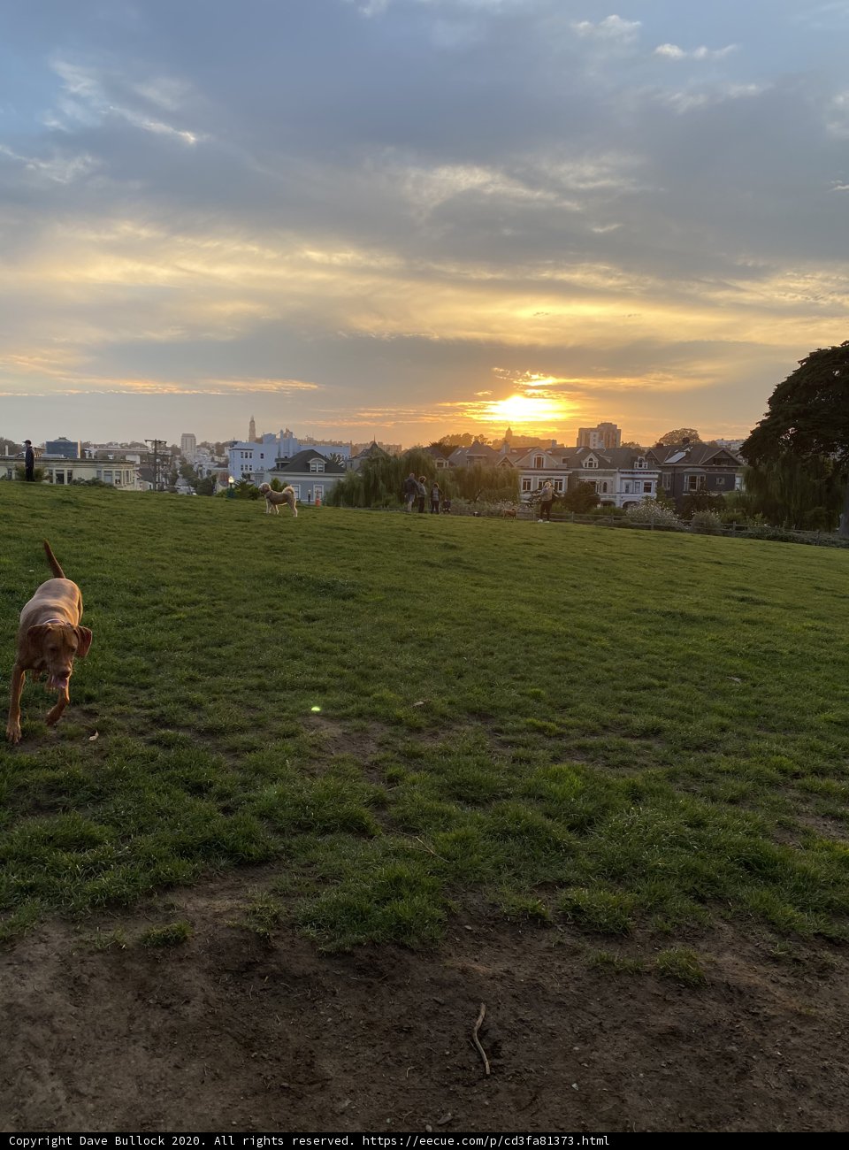 Sunset Run