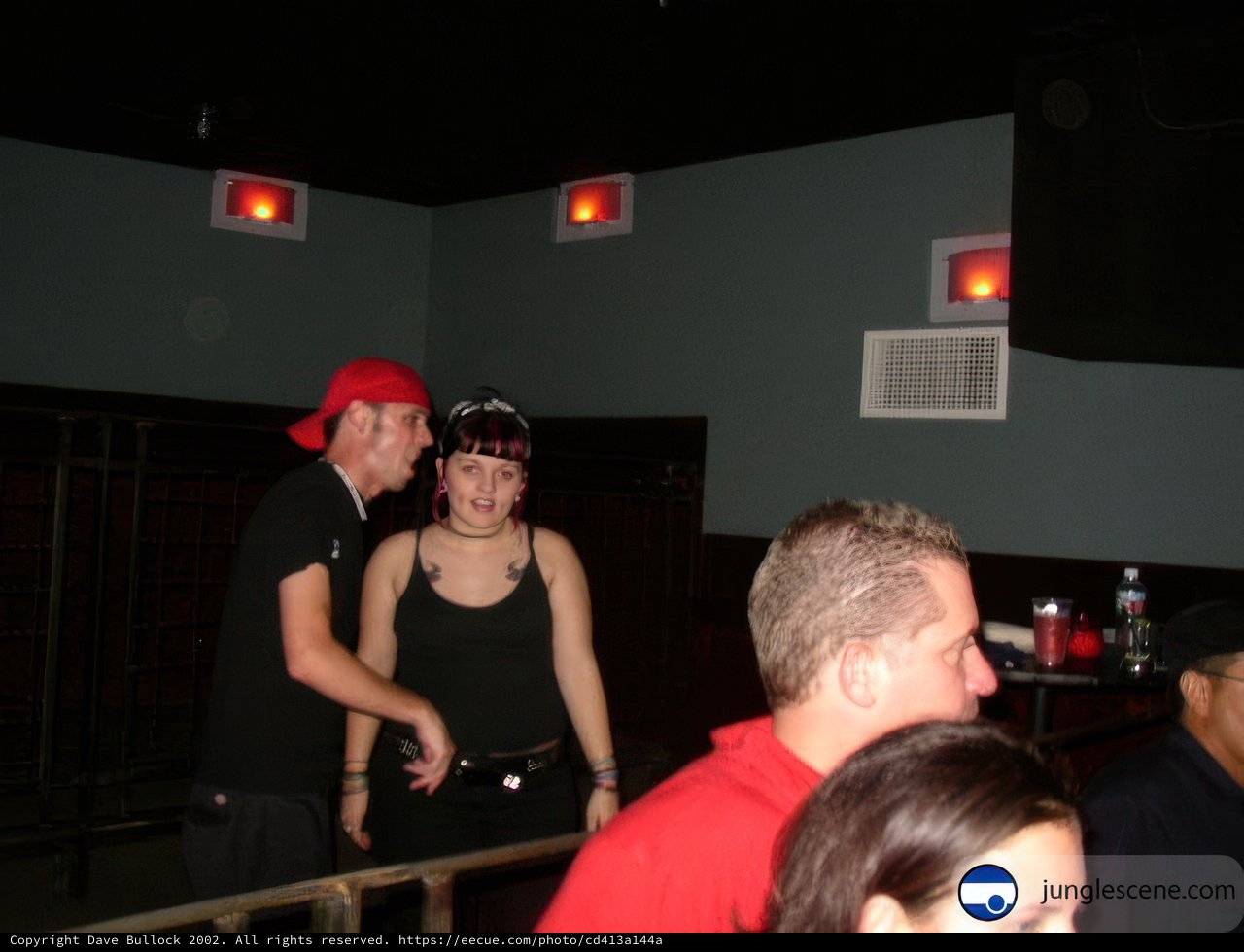 Nightclub Gathering