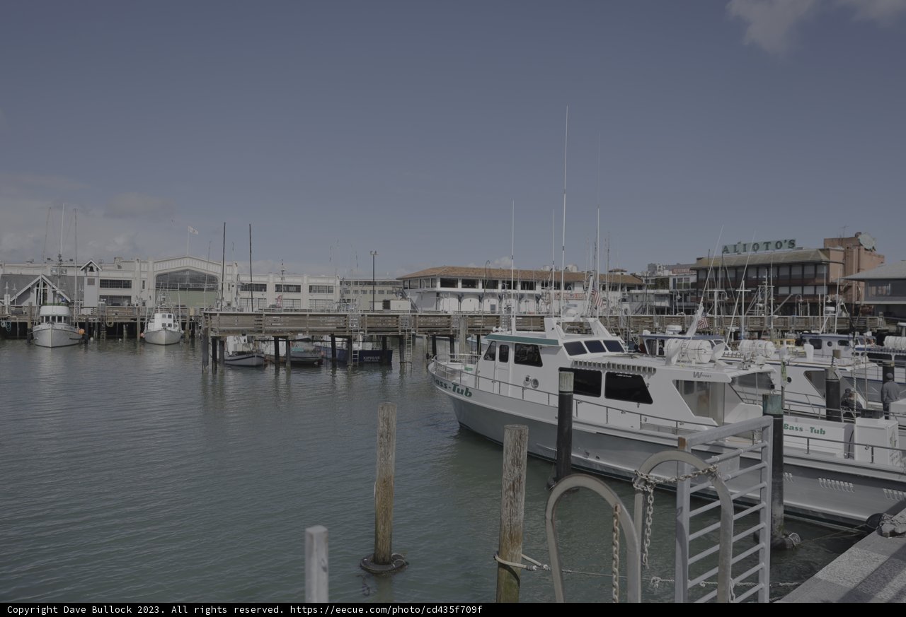 Boats at the Marina