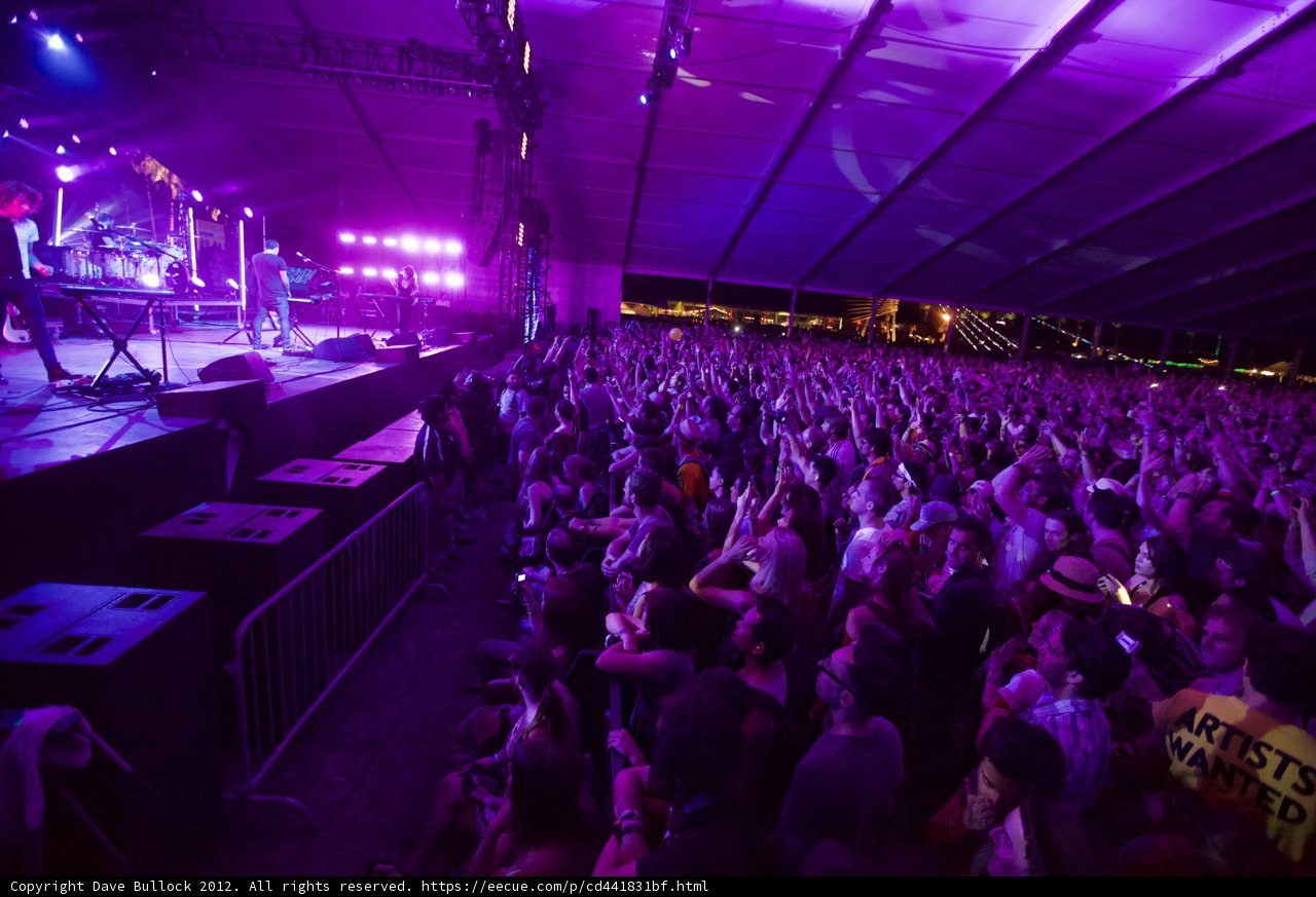 A Sea of Purple Lights