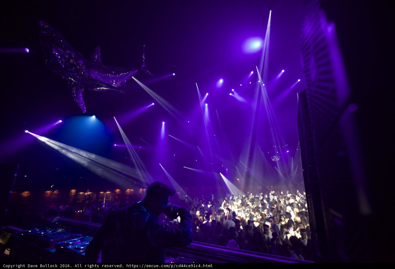 Purple Haze Nightclub