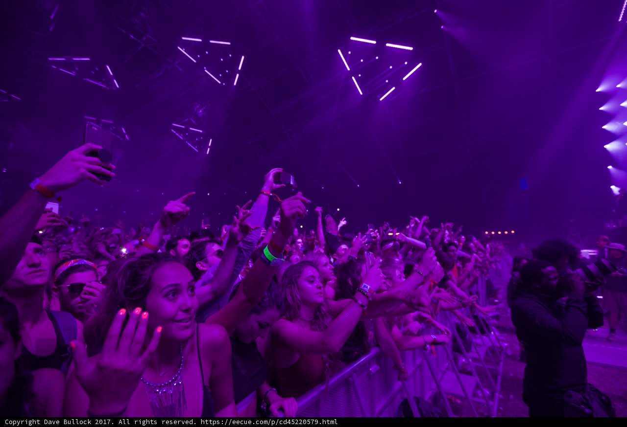 Purple Haze