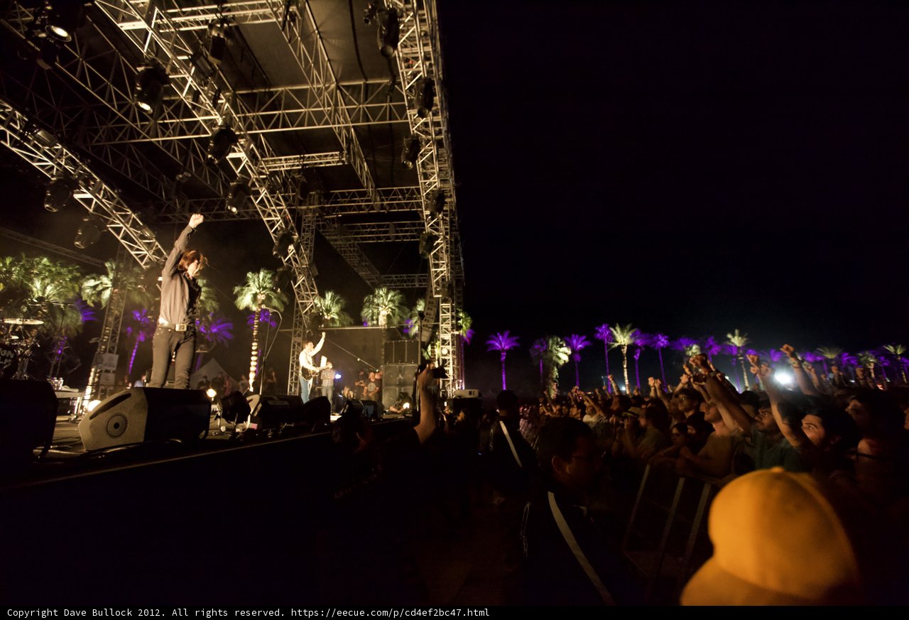 Rocking Out Under the Palm Trees