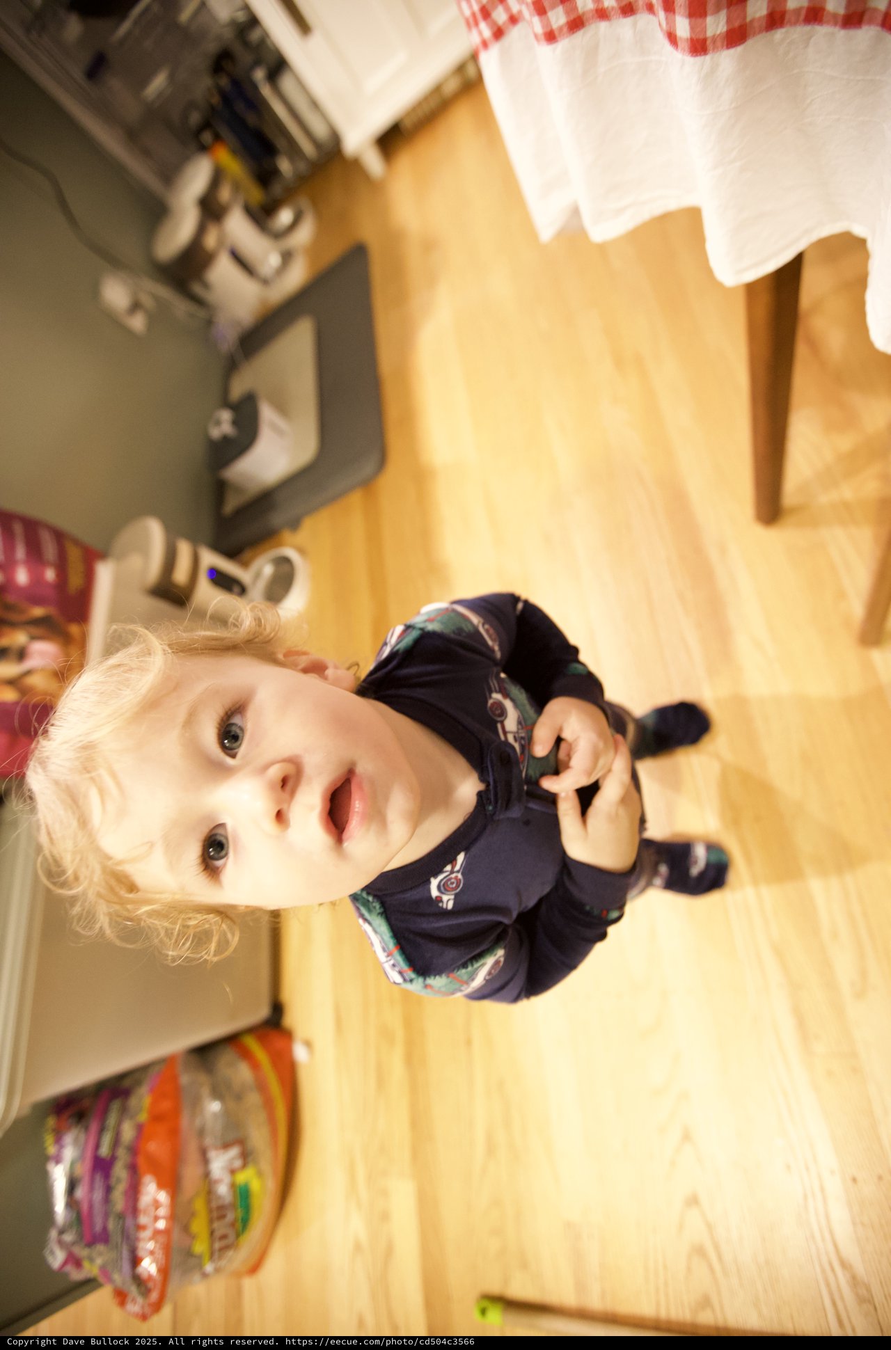 Curious Toddler in Kitchen on Christmas Morning