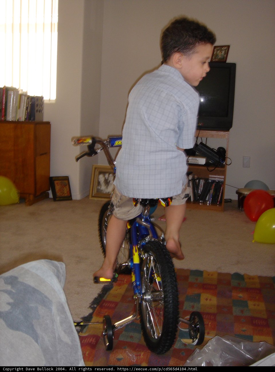 Pedaling Through the Living Room