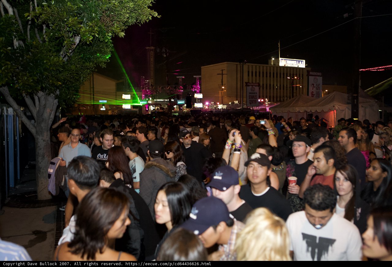 Nocturnal Concert Fever