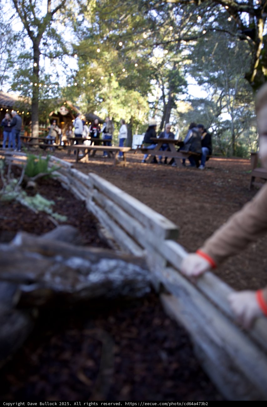 Autumn Gathering at Thistlewyck Grove
