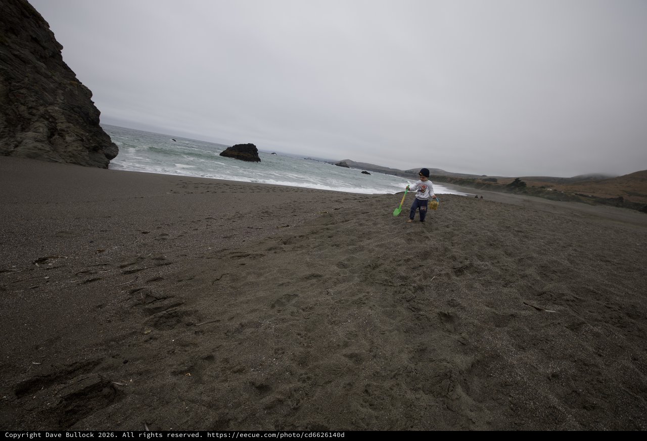 Young Explorer on a Misty Northern California Beach