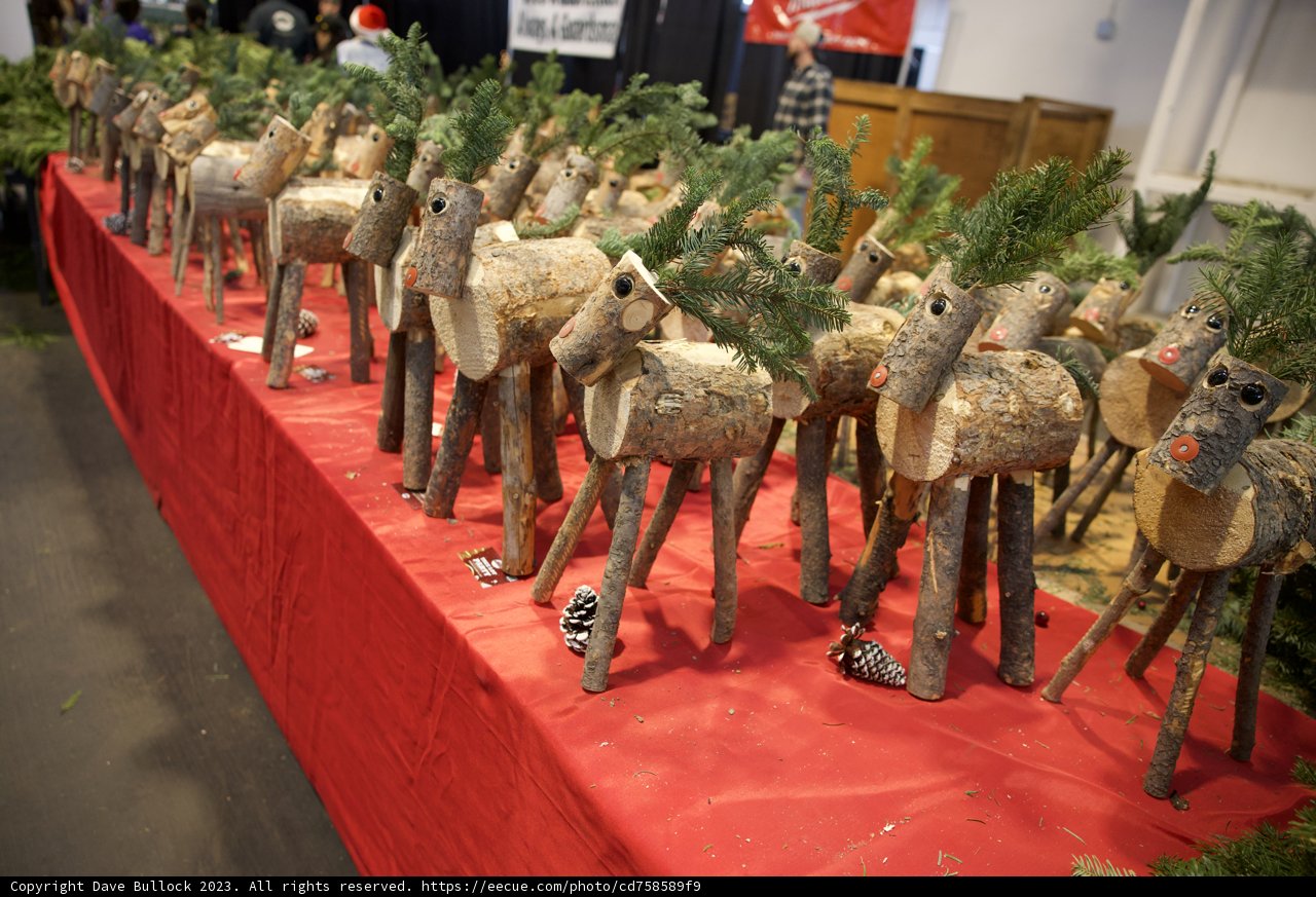 The Artful Reindeer Display at Fort Mason 2023