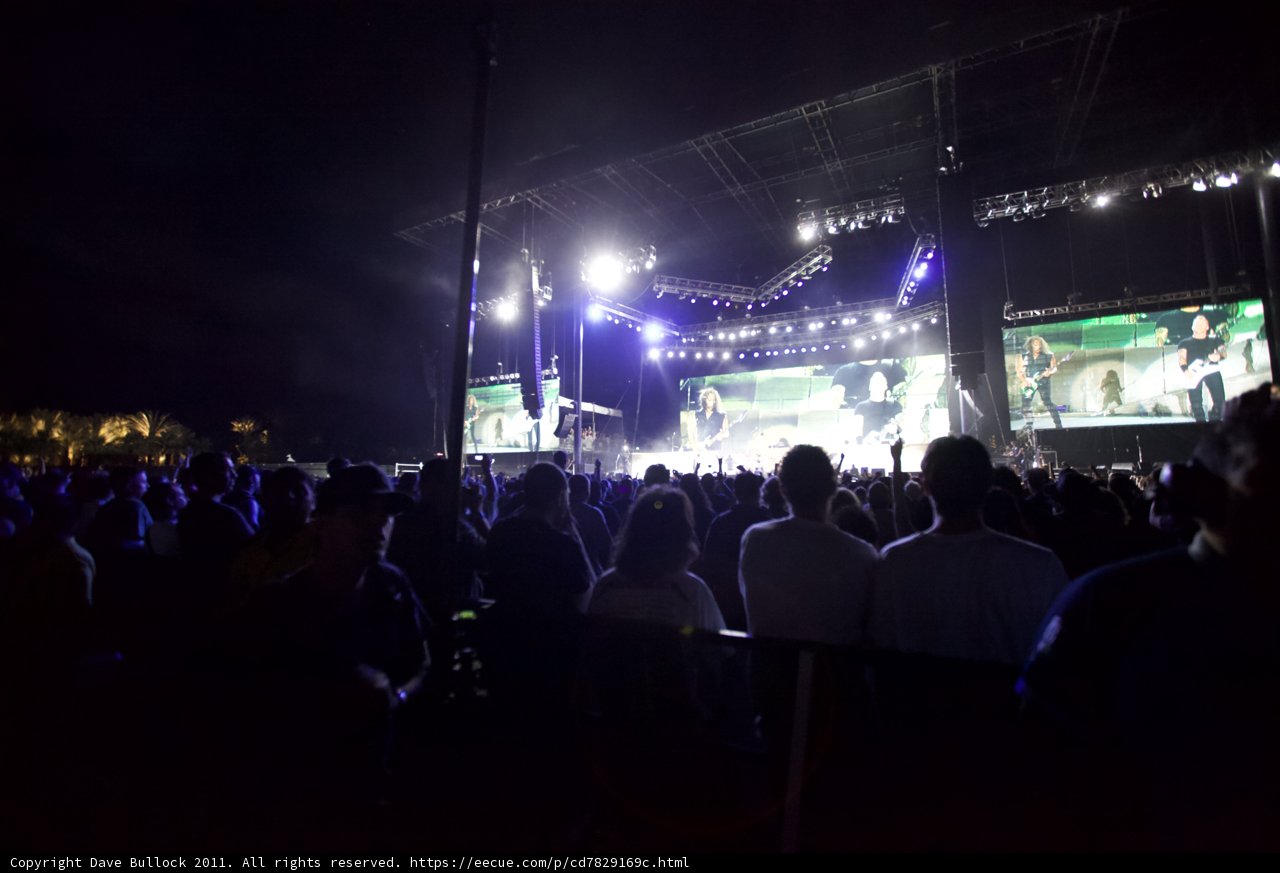 Rocking Under the Night Sky