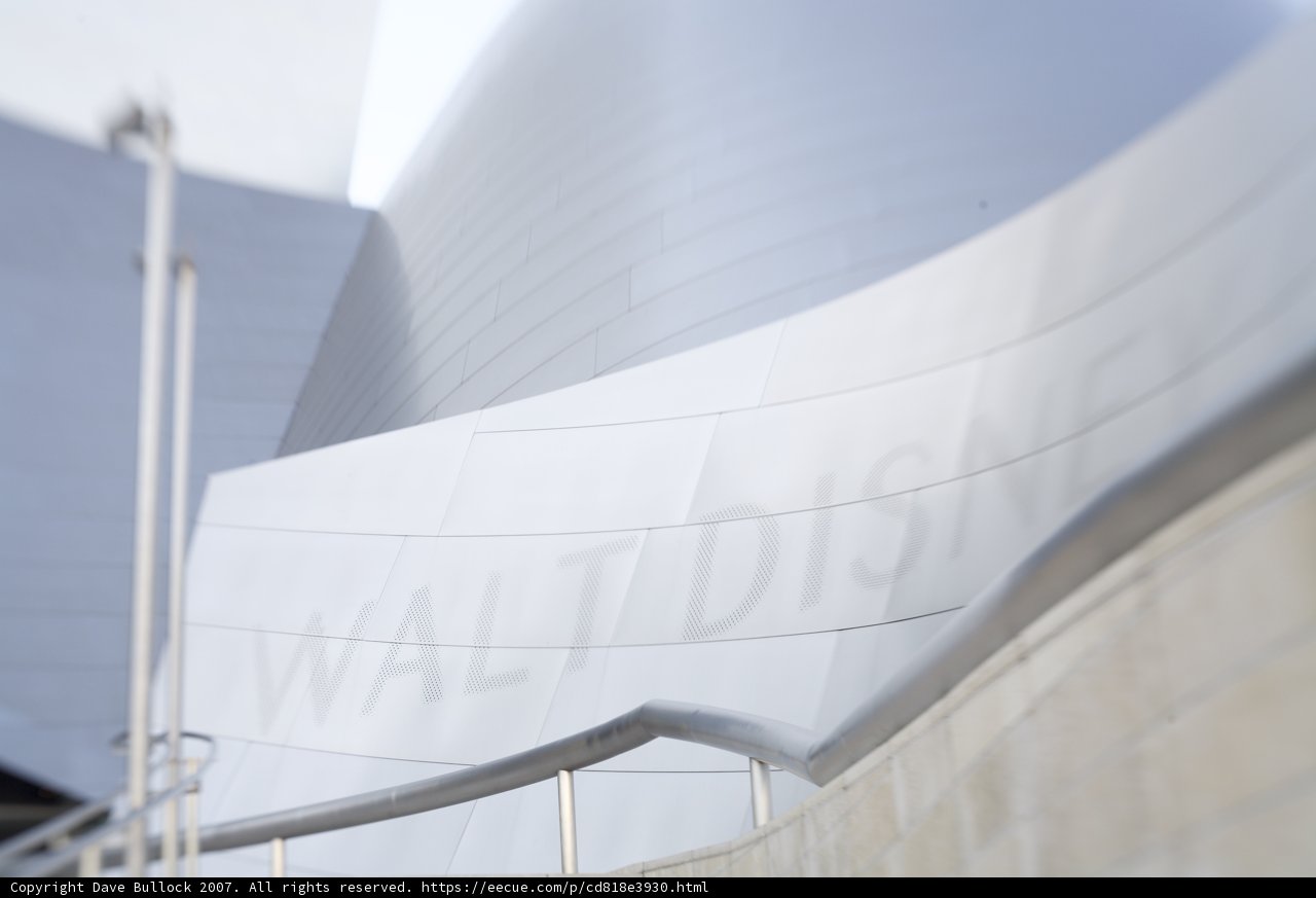 Walt Disney Building in the City