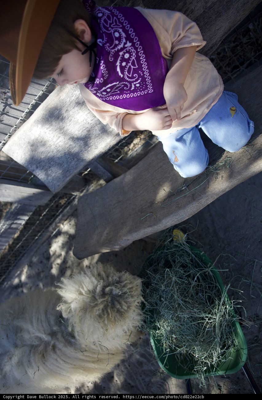 Cowboy Encounters at Carmel Valley Ranch