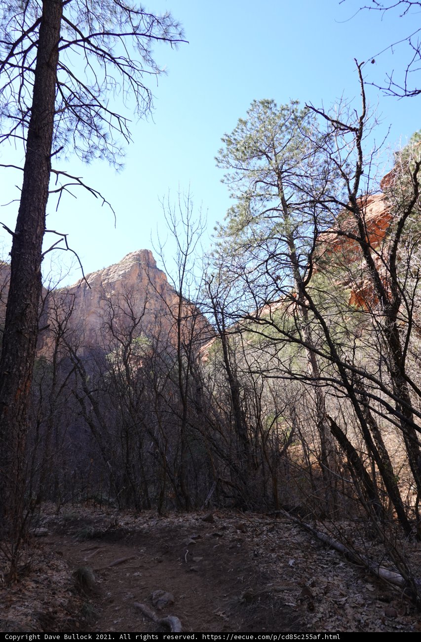 Into the Wilderness