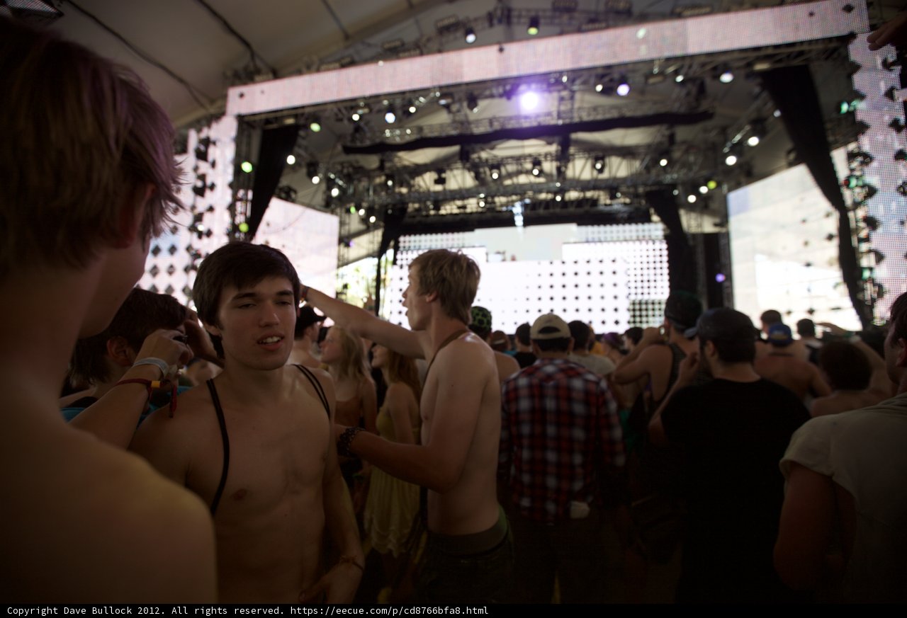 Coachella Crowd Going Wild