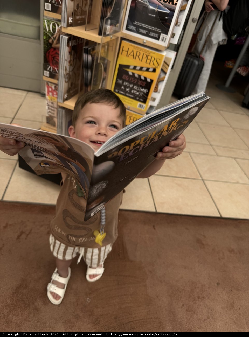 A Young Reader's Delight!