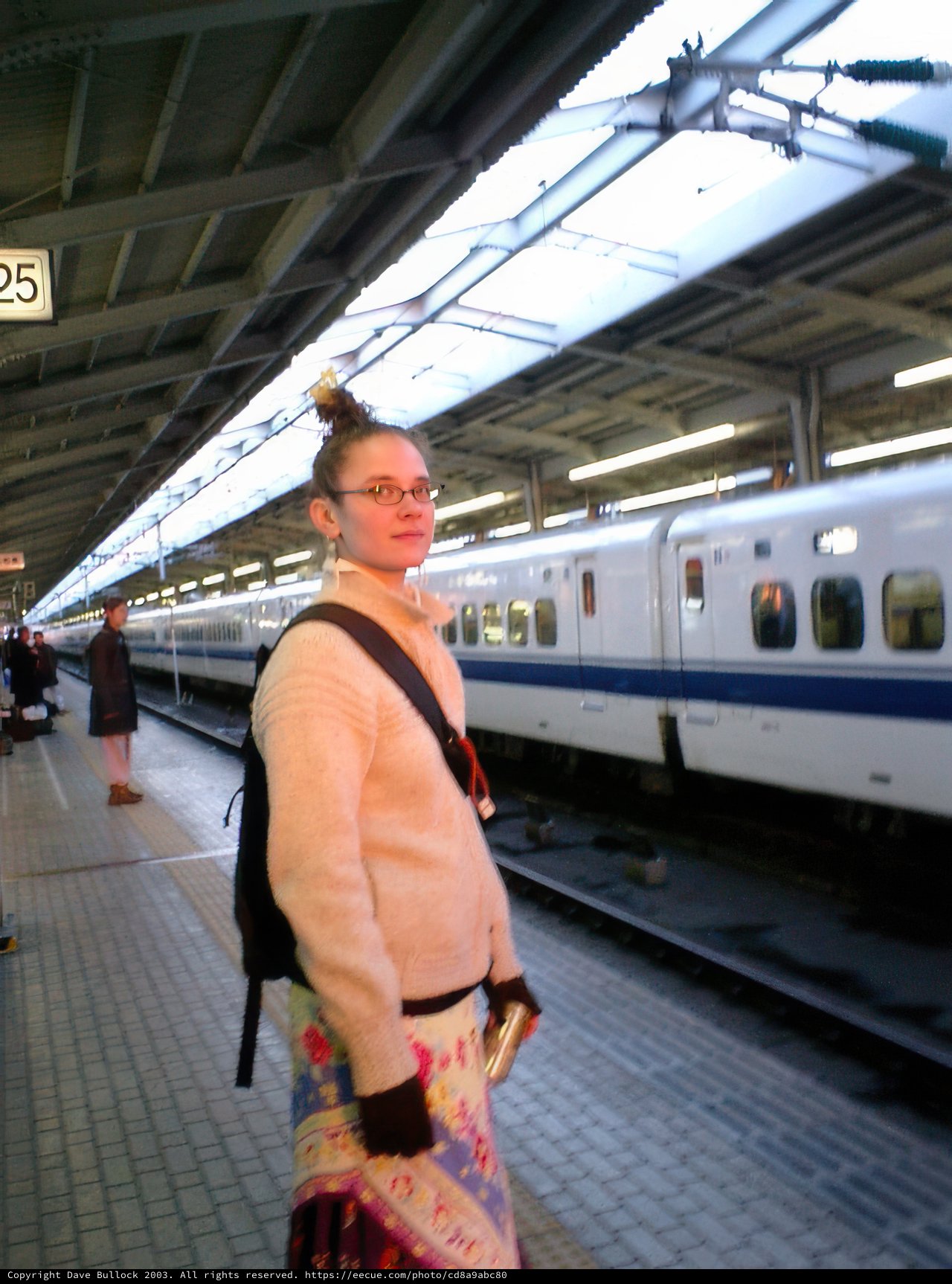 Waiting for the Bullet Train