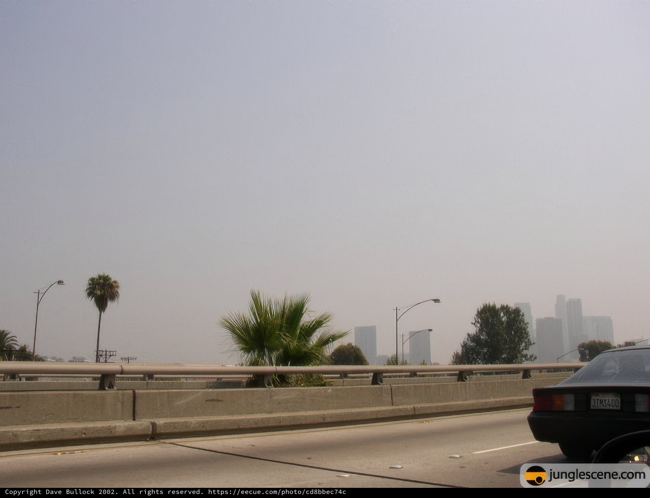 City Driven