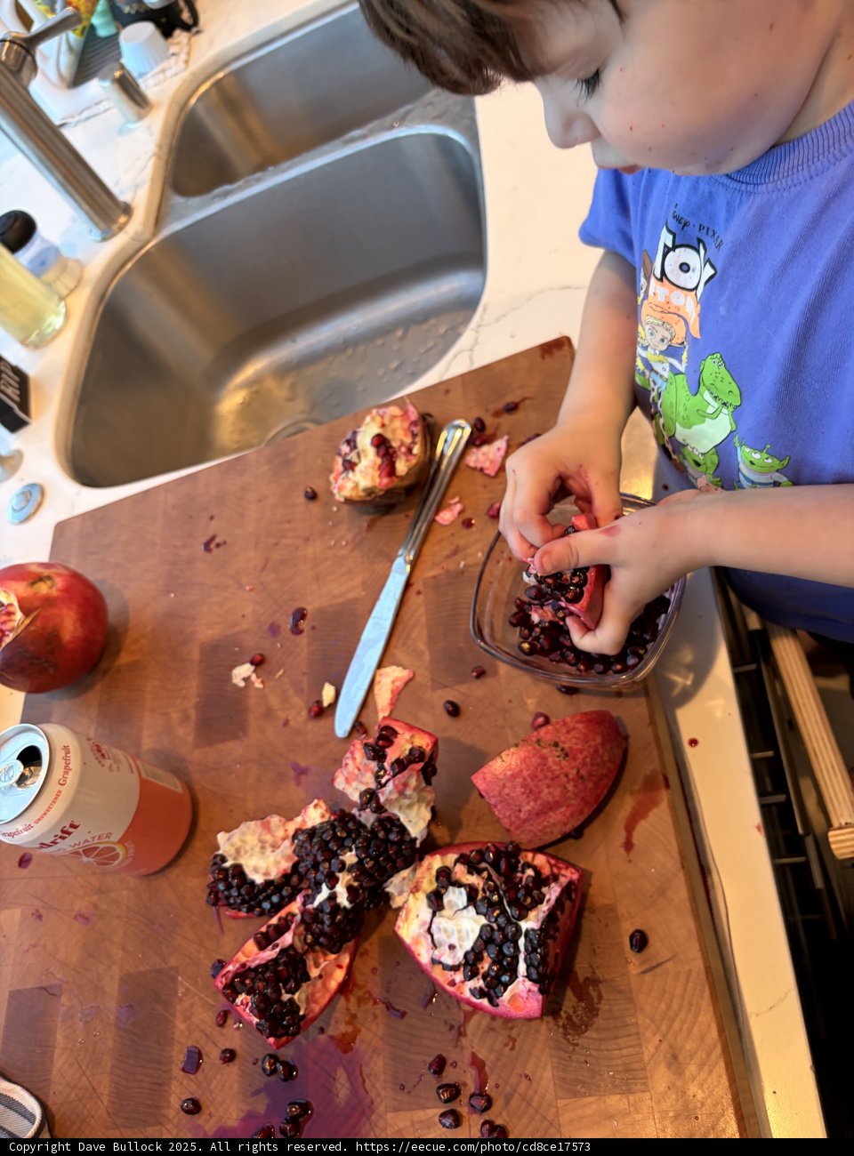 Pomegranate Playtime