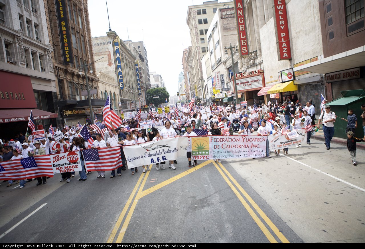 Patriotic Protesters