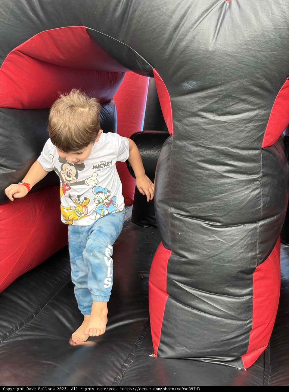 Bouncing Through Adventures