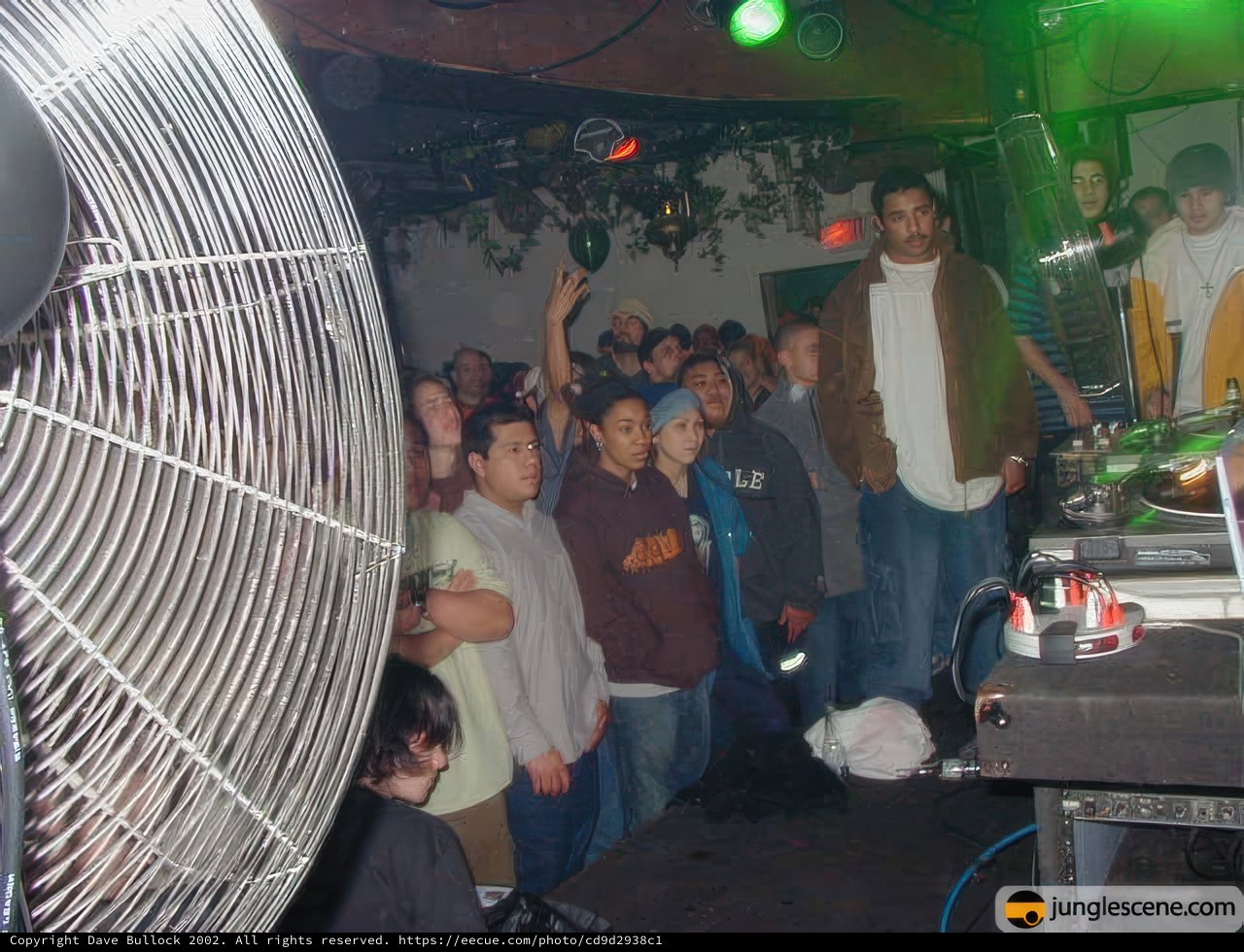 Nightclub Vibes with DJ and Crowd