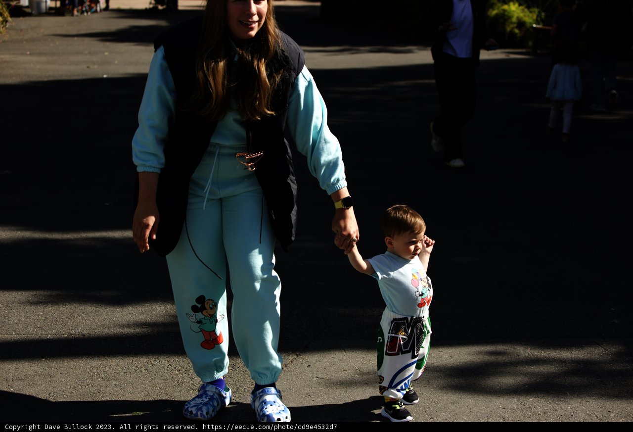 Strolling Through Life: A Day at the SF Zoo