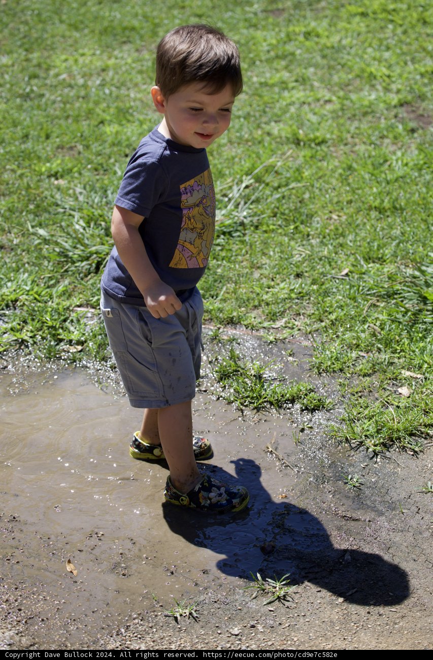 Puddle Adventures