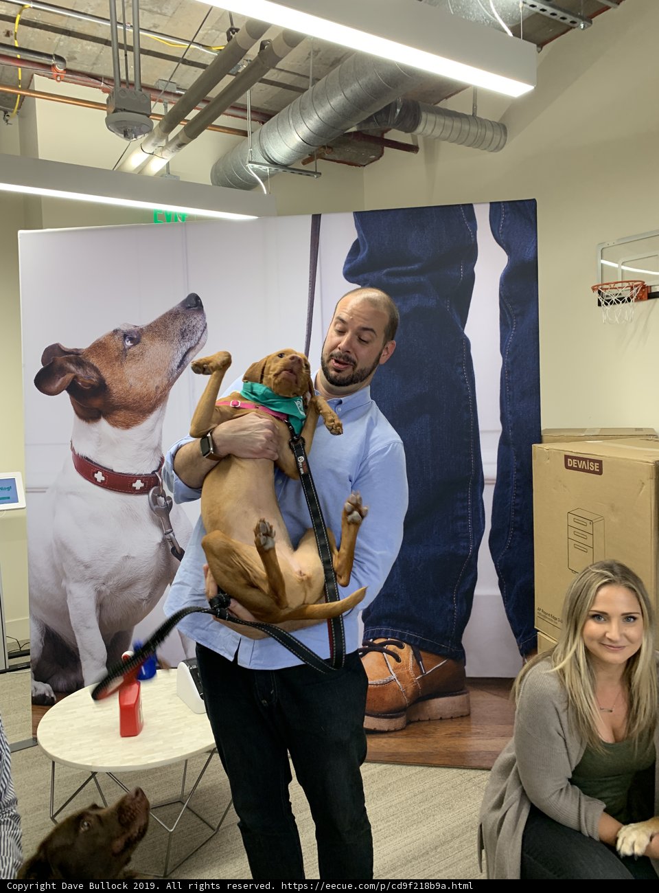 Man and Dog in the Living Room