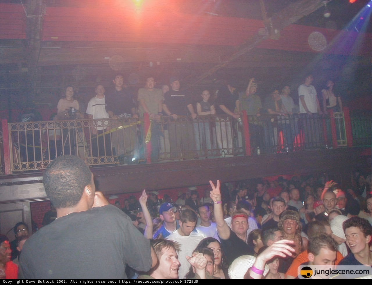 Nightclub Concert Crowd