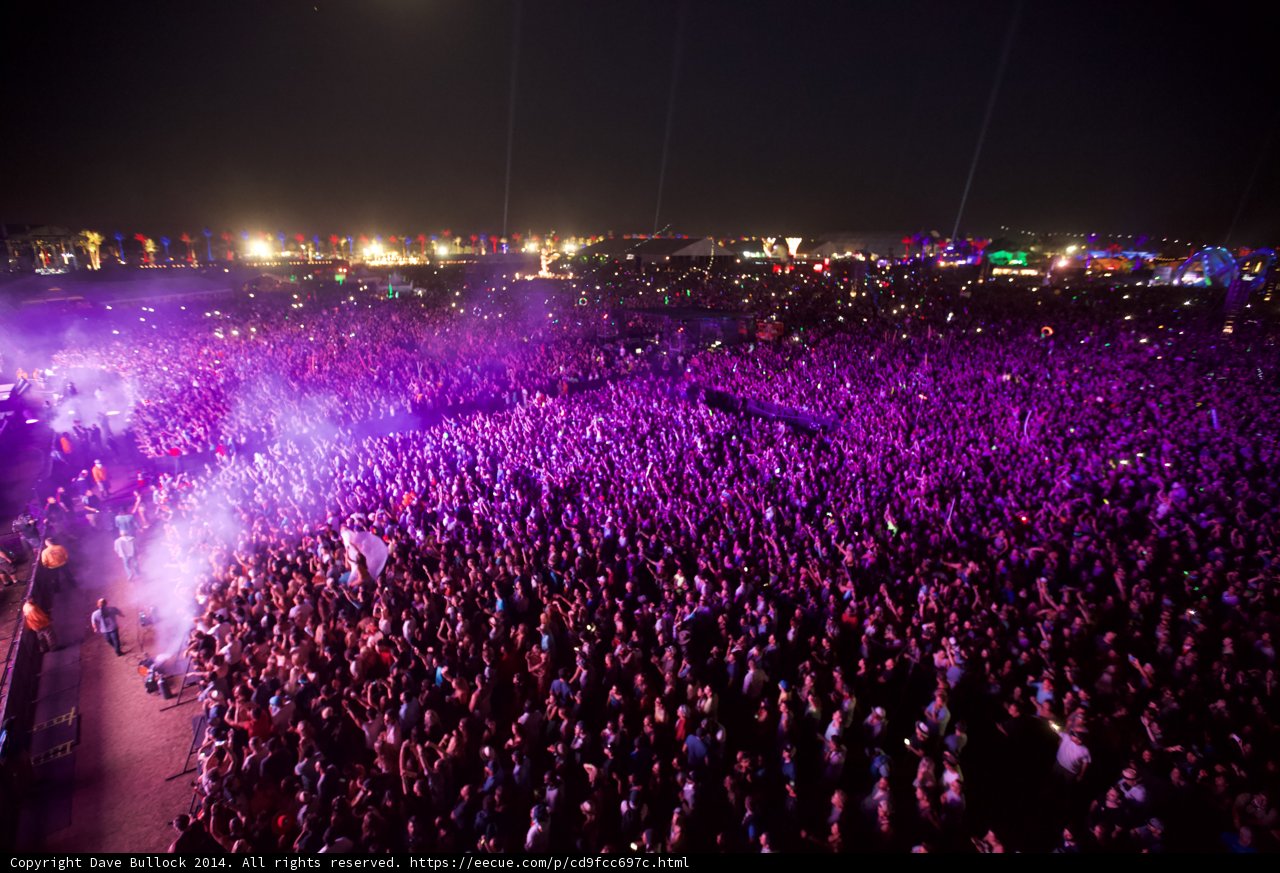 Party Under the Night Sky