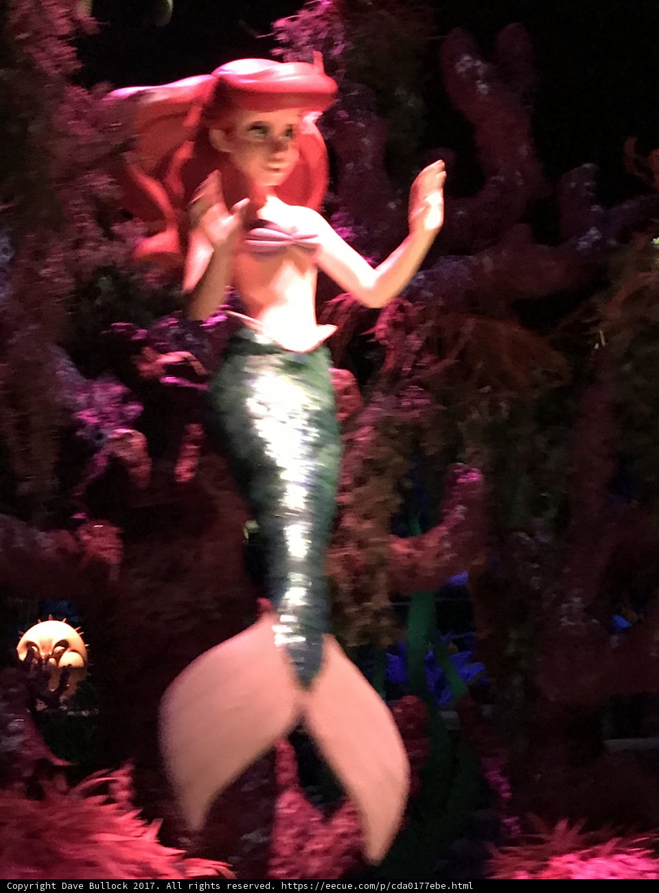 Ariel's Fun Night Out