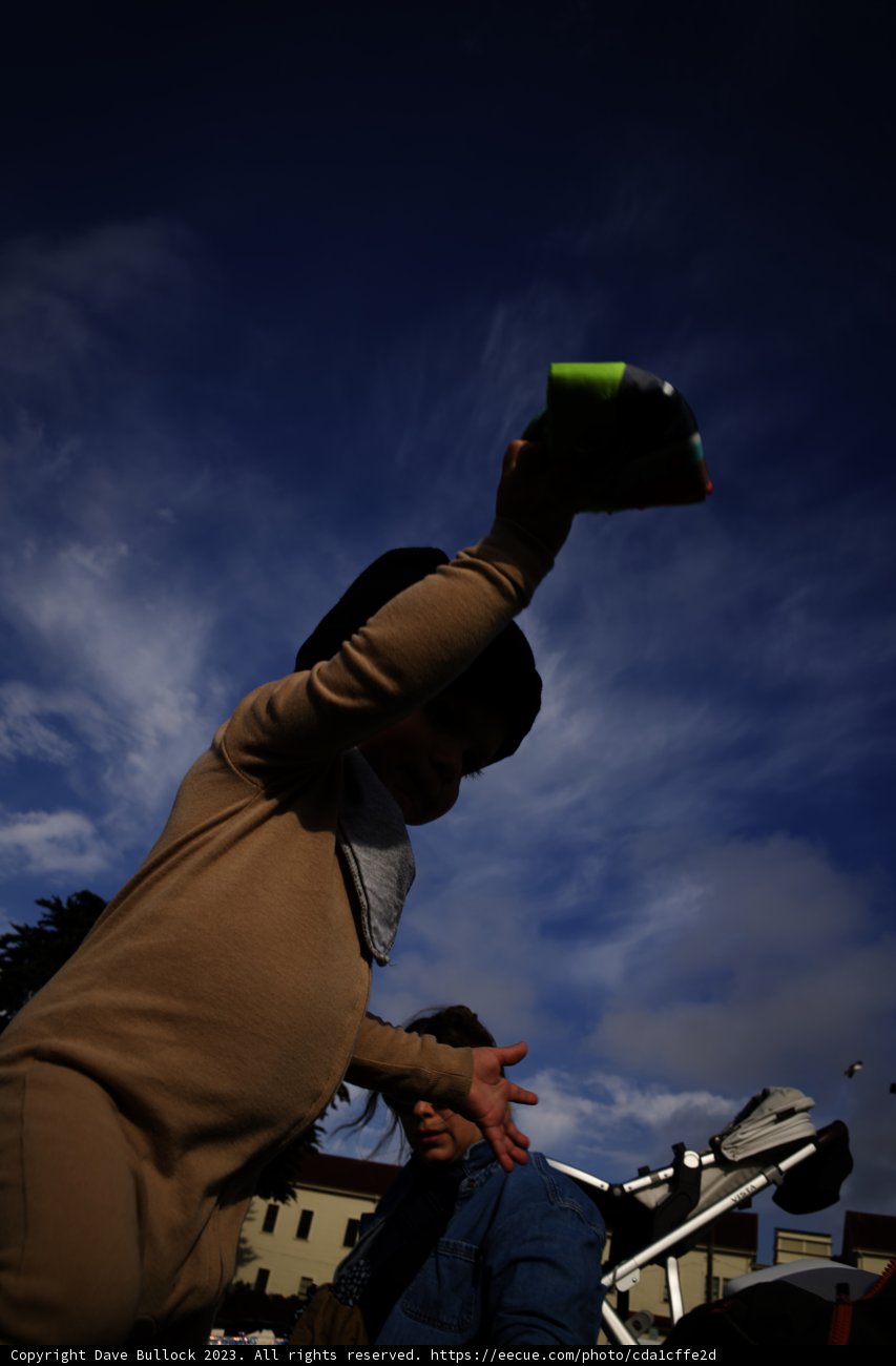 Presidio's Kite-Flying Delight