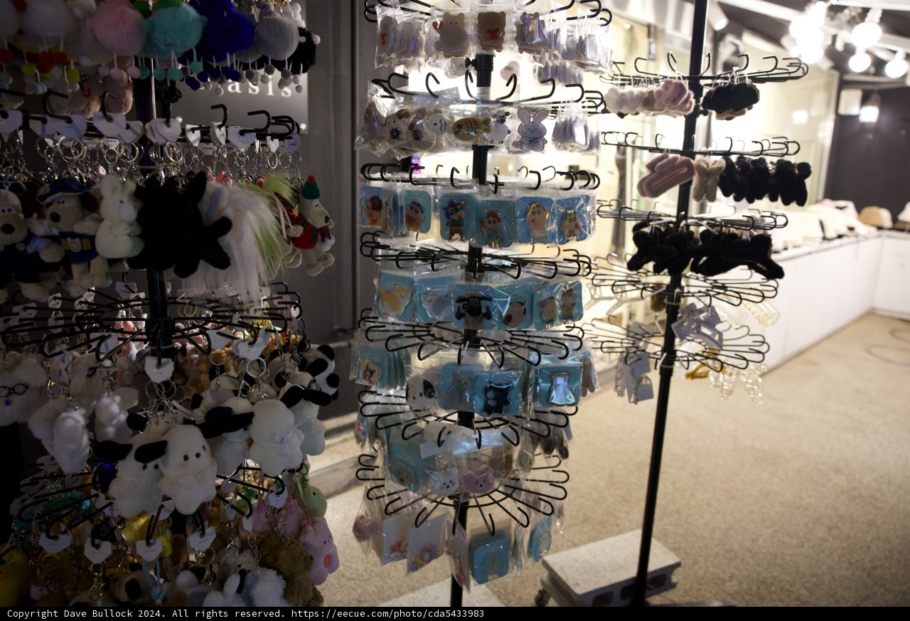 The Diverse Delight of Korean Earrings