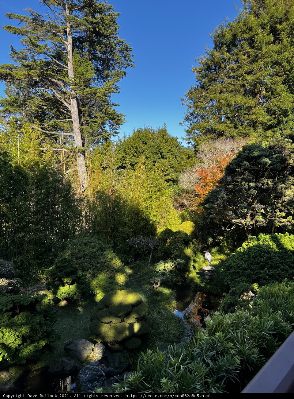 Serene Japanese Garden Oasis