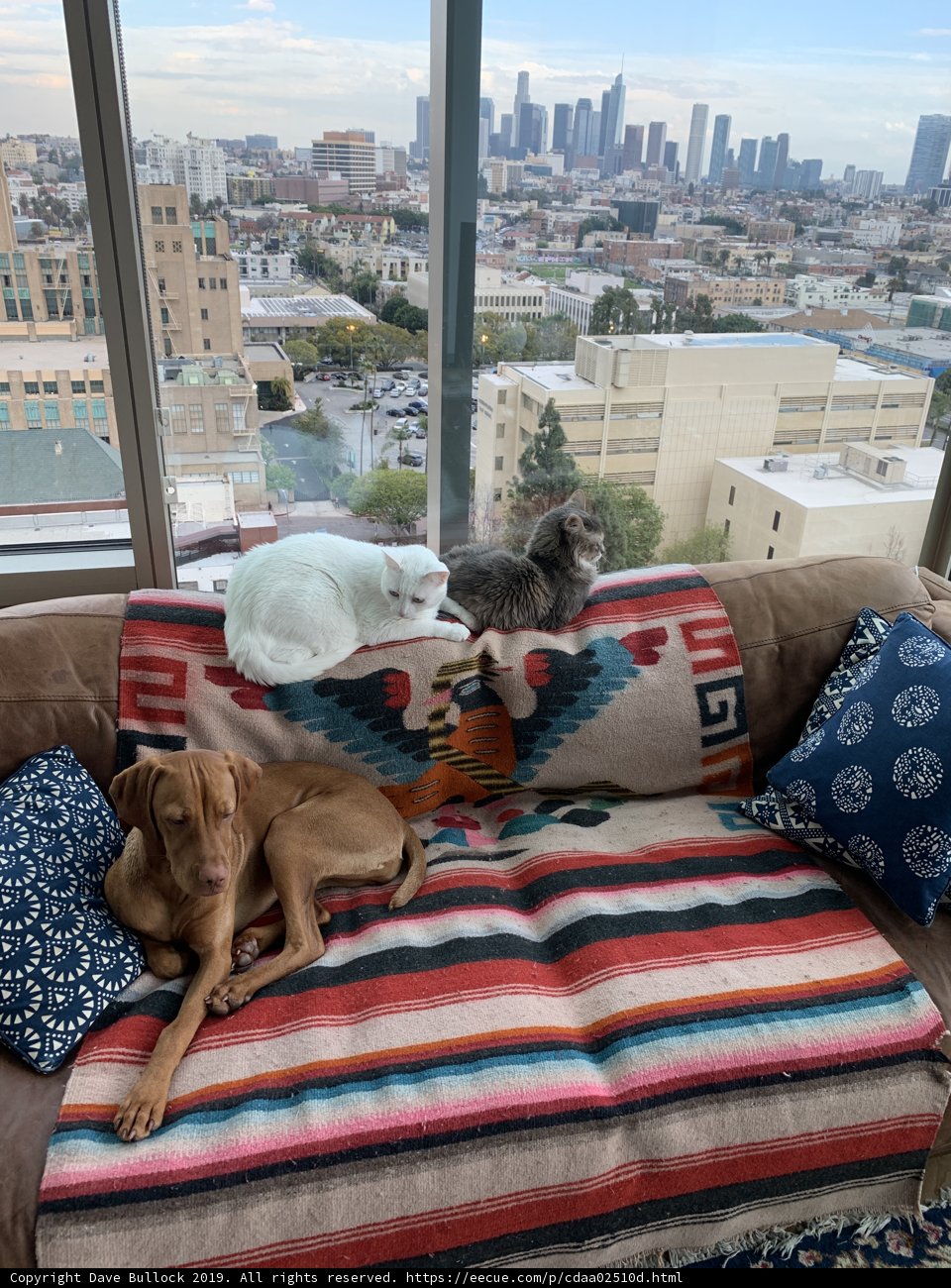 Cozy Company