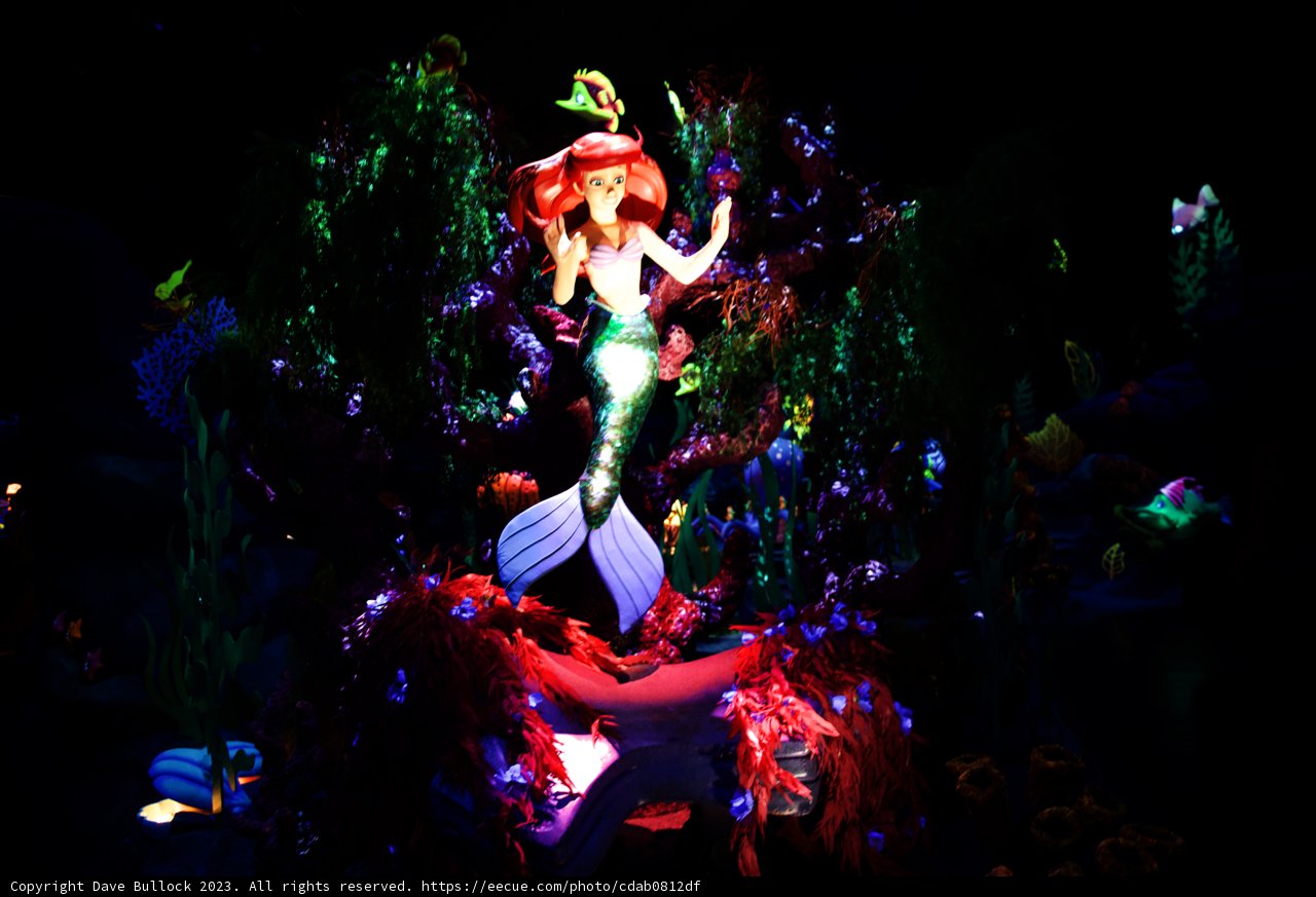 Magical Moments at Disneyland with Friends