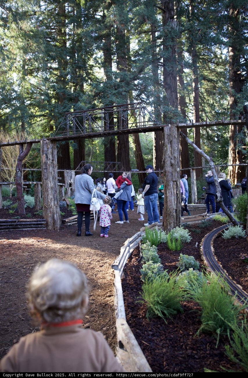 A Stroll Through Thistlewyck's Enchanted Grove