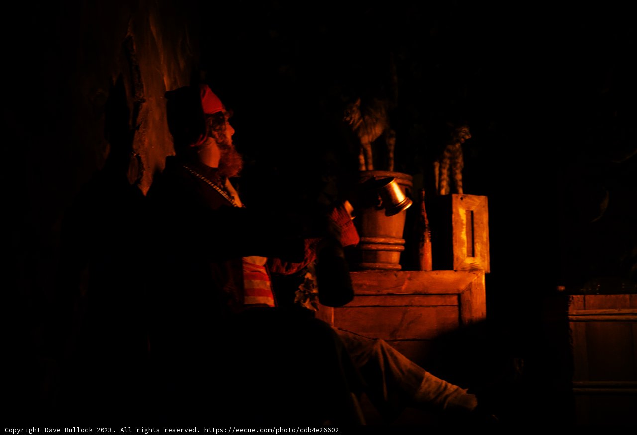 Magical Encounter at Disneyland