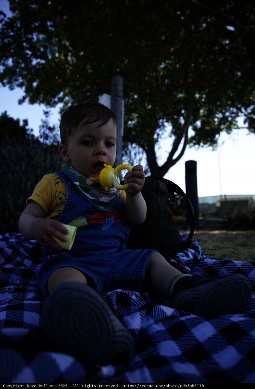 Blossoming Baby at Bayfront Park