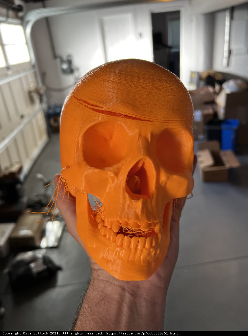 The Gruesome Relic