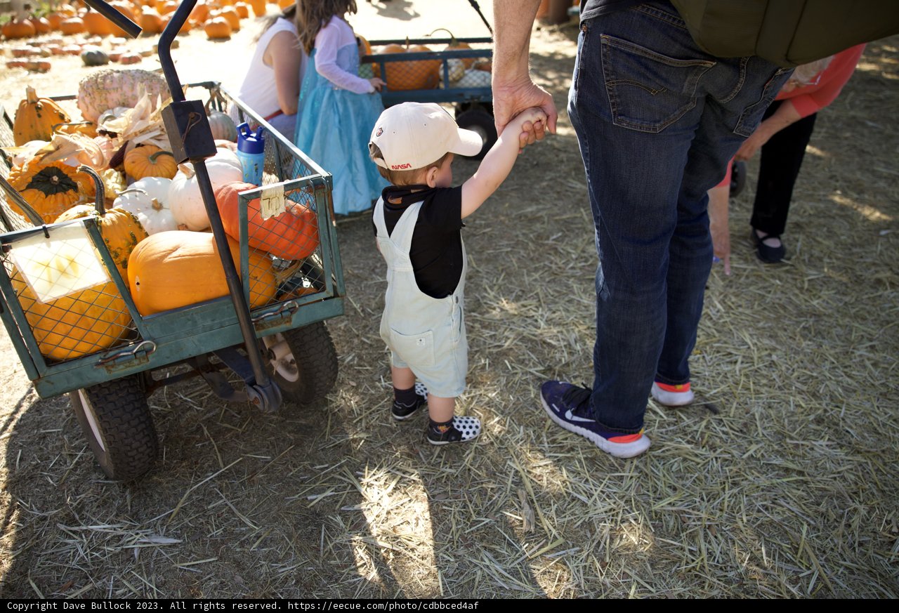 Autumn Adventures: Pumpkin Picking with Wesley