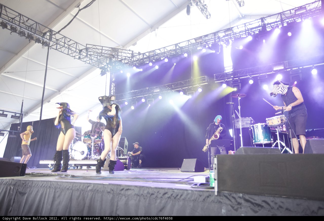 Group Performance at Coachella Concert