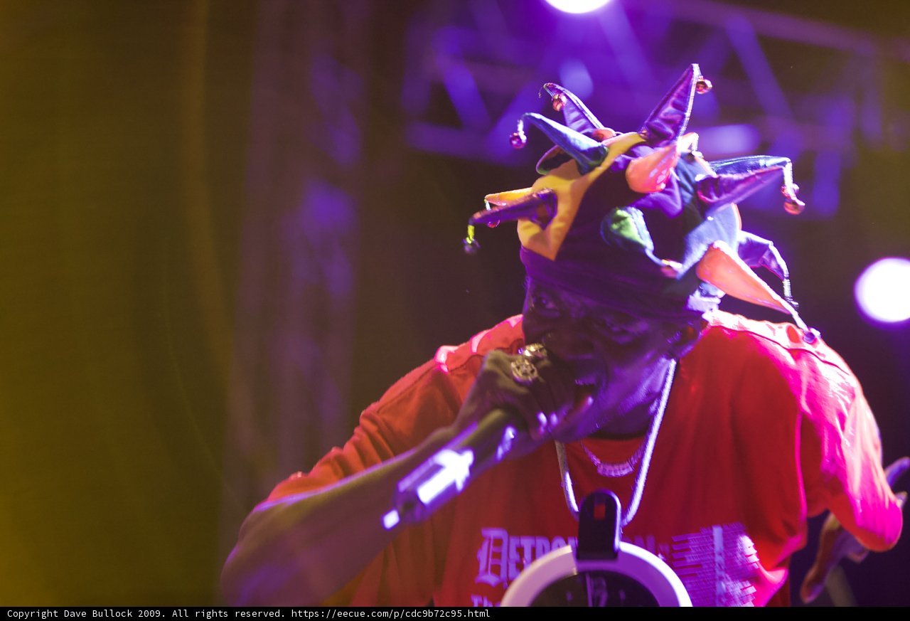 Man singing his heart out at Coachella 2009