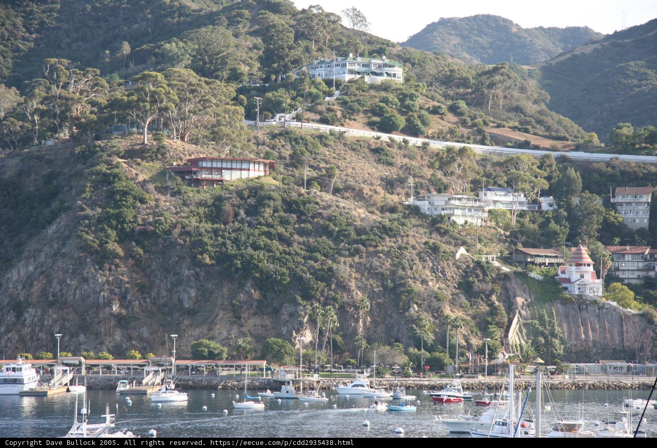 Serene Harbor View