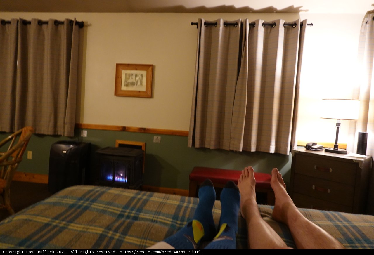 Relaxing in the Cozy Bedroom