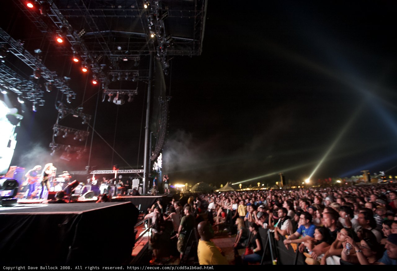 Electric Crowd at Coachella