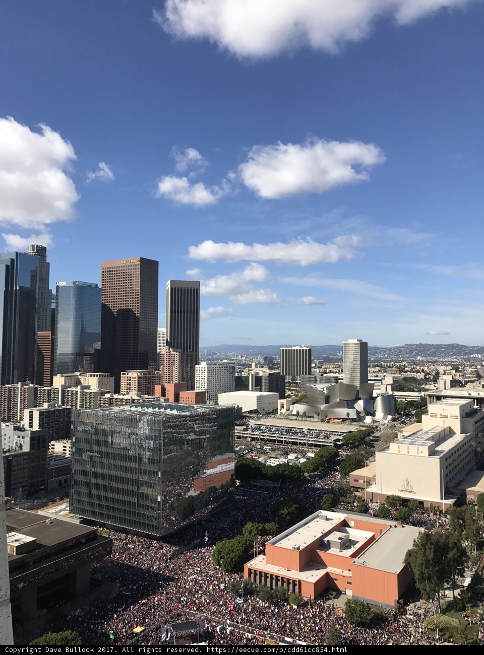 The Urban Metropolis
