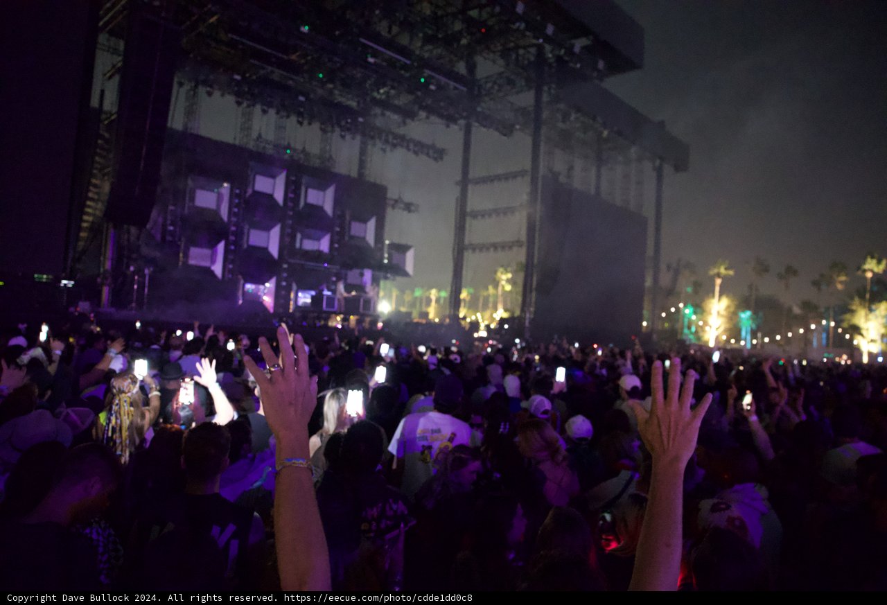 Electric Nights at Coachella 2024
